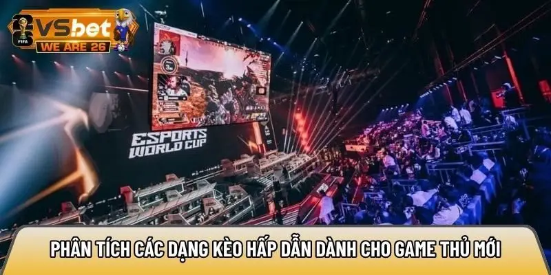Phân tích các dạng kèo hấp dẫn dành cho game thủ mới